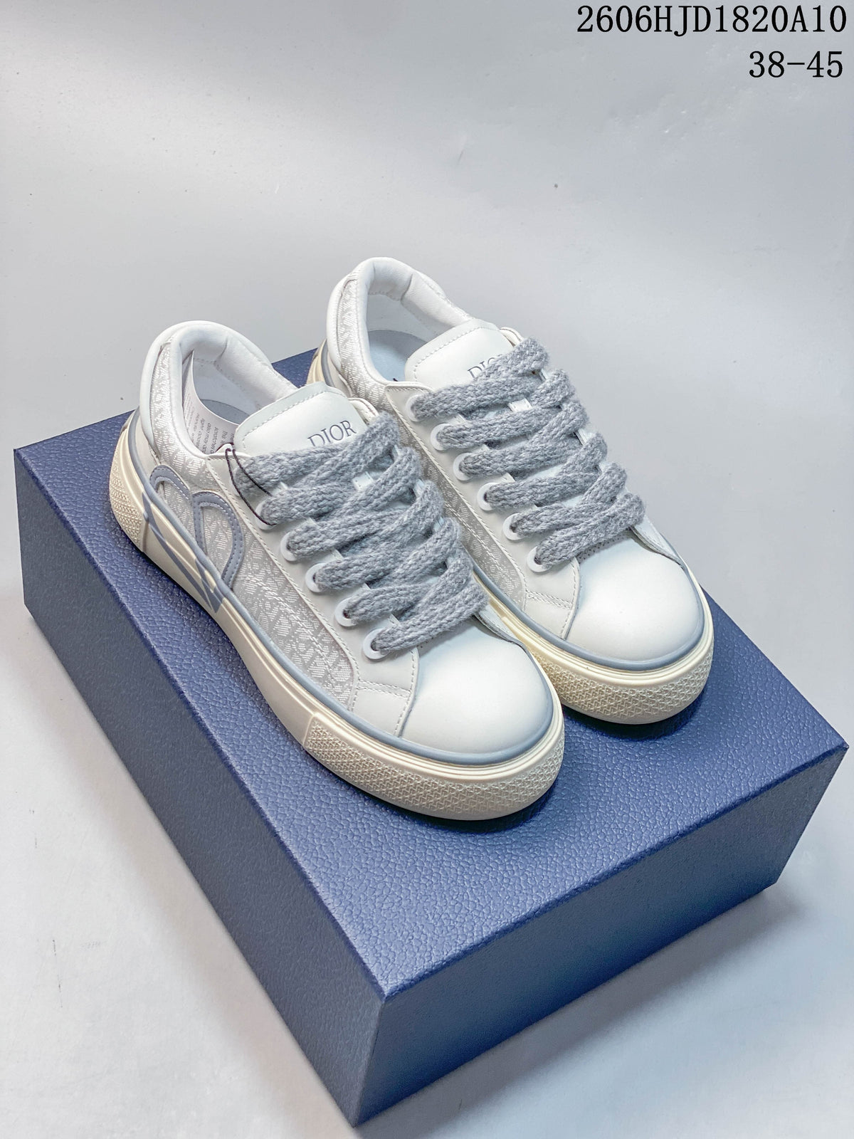 Dior B33 Low-Top Sneakers in White and Gray
