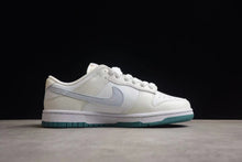 Nike SB Dunk Low FD9911-101 White Grey Sneakers