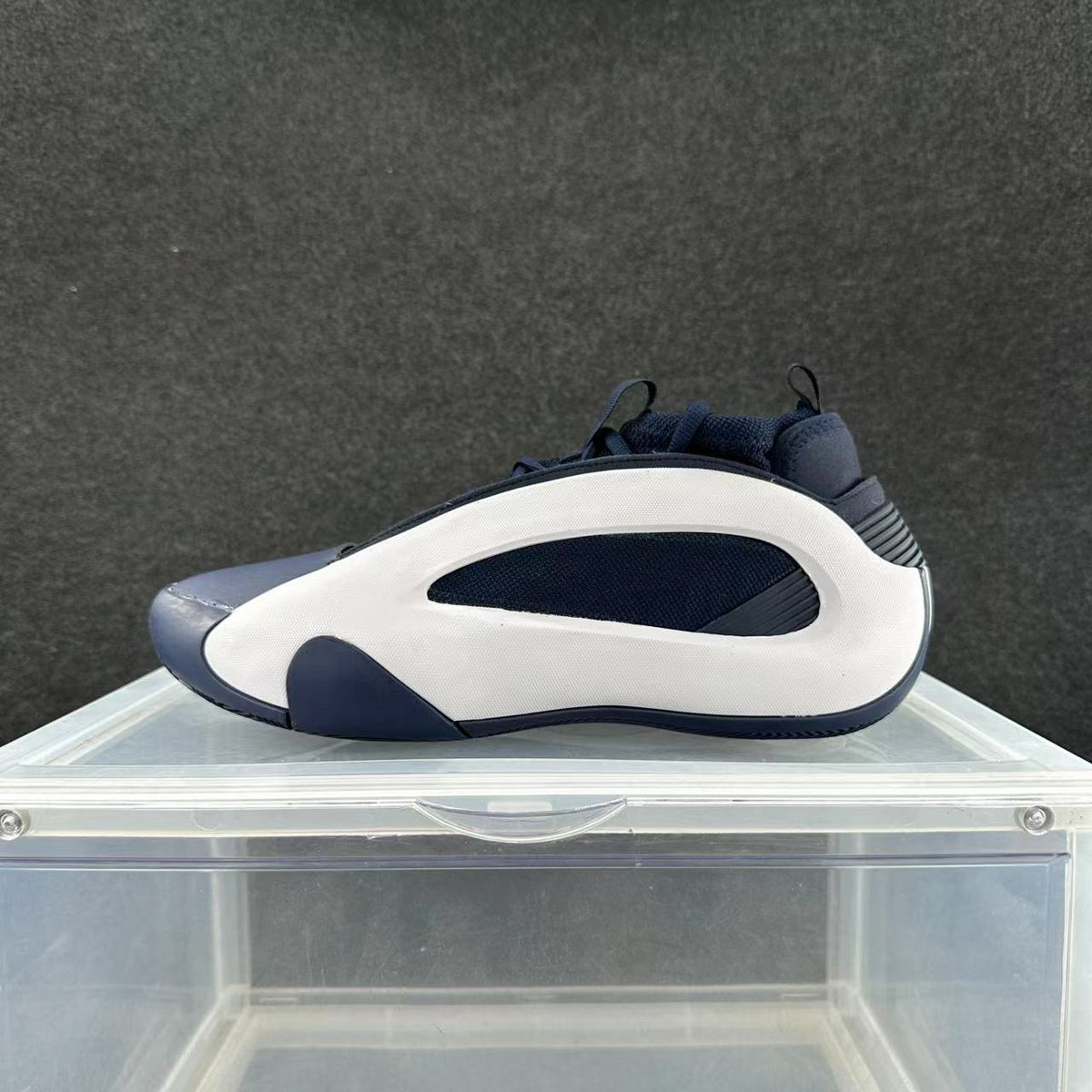 Navy and White Low-Top Sneakers