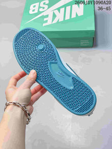 Nike SB Alleyoop Low-Top Skate Shoes in Gray and Teal