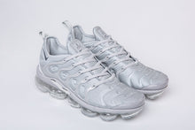 Nike Air Max Plus TN-4 Silver Sneakers