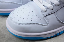 Nike SB Dunk Low Sneakers Light Gray Blue FJ5429-133