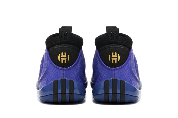 Nike Zoom Freak 5 Basketball Shoes in Purple and Black