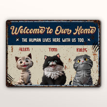 Welcome To Our Home, The Human Lives Here With Us Too, Cats - Personalized Metal Sign - CAT003_MSIGN