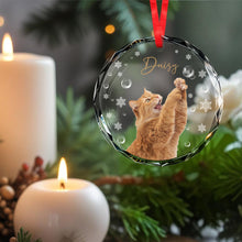 Celebrate Your Pet's Joyful Spirit - Personalized Custom Circle Glass Ornament - CAT010_CGOR