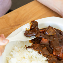 Easy Scoop Oval Ceramic Curry Plate