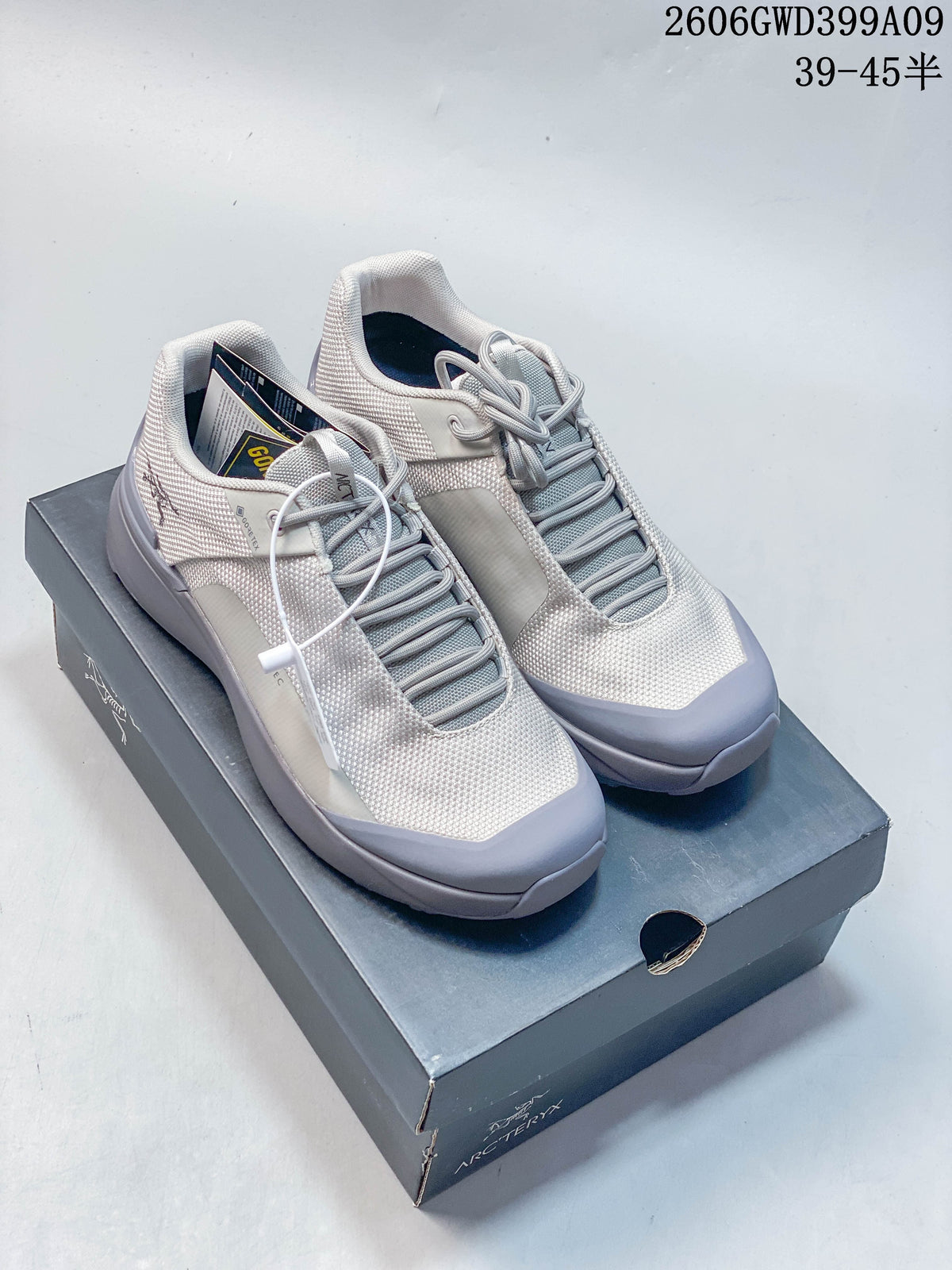 Arc'teryx Norvan Kopec GTX Low-Top Hiking Shoes