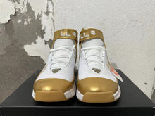 Nike Zoom 2K5 White and Metallic Gold Basketball Shoes