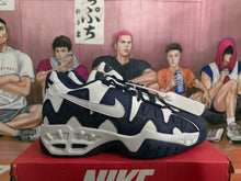 Nike White and Dark Blue Sneakers
