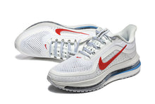 Nike Pegasus Premium White Running Shoes