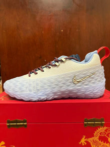 Nike S.T. Charge Sneakers in Khaki, Dark Gray and White/Blue
