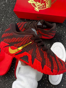 Nike LeBron 22 Year of the Horse Sneakers Brown Red Gold IB6509-200