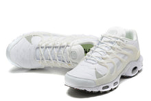 Nike Air Max Terrascape Plus White Sneakers