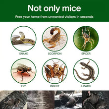 🔥HOT SALE🔥Household Mon-woven Strong Trap Sticky Mouse Blanket