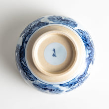 Retro Dyed Landscape Donburi Bowl